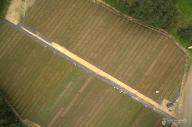 produzione e distribuzione di materiale vivaistico Polonia 20